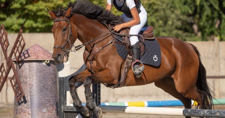 Kiskunhalasi Lovaspark programok 2026