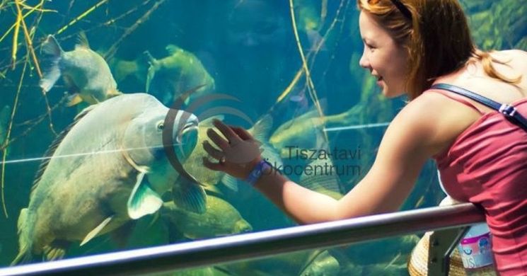 2026. október 23. programok Poroszló - Ünnepi látogatás a Tisza-tavi Ökocentrumban