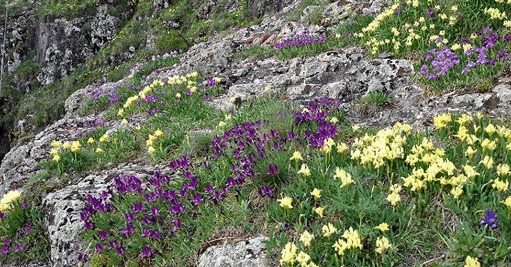 Sziklagyep látogató ösvény séta Füzéren