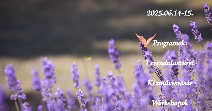 Levendula Piknik Szatymaz 2025