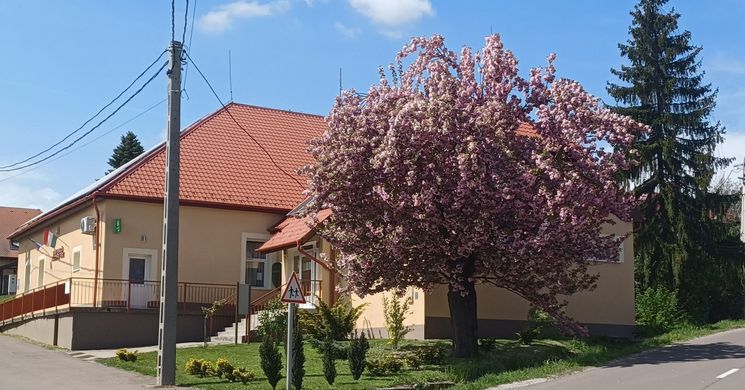 Ostoros programok 2026 - Események és rendezvények