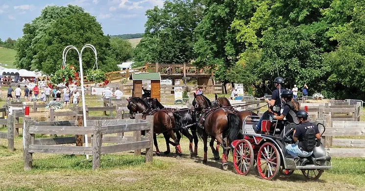 Fogathajtó Verseny Szilvásvárad 2026