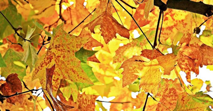 Falunap Hajdúszovát 2026