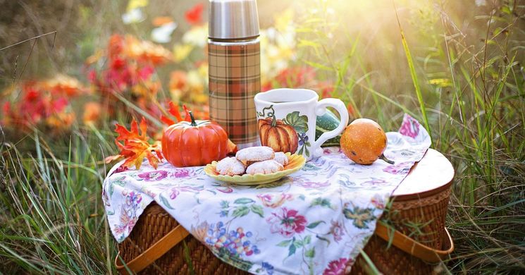 Vasvár majális 2026 - Retro piknik