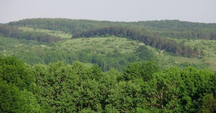 Bakonyi kirándulás 2026. Fedezze fel Bakonybél természeti értékeit!