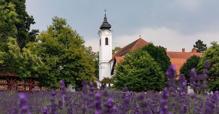 Monostori Füveskert és Arborétum látogatás  Bakonybélben