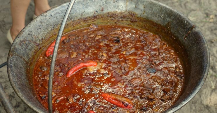 Kígyósi Falunap és Búcsú 2025 Kiskunmajsa - Kígyós