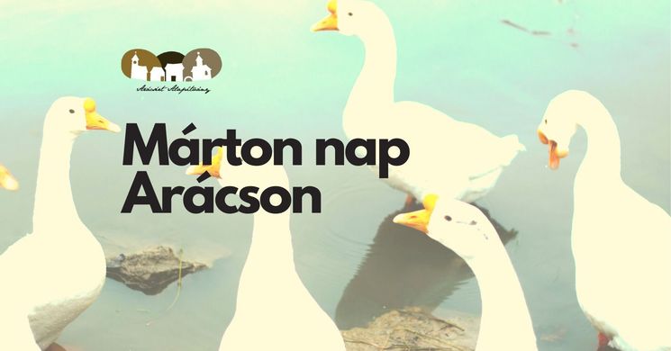 Márton-nap Balatonfüred 2025. Arácsi Márton-nap és újbor kóstoló
