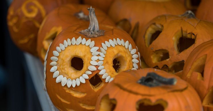 TÖKéletes hétvége 2025 Szeged