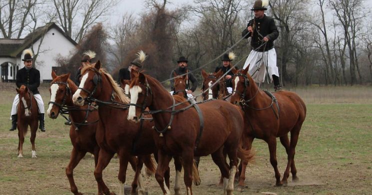 Puszta programok 2026 Bugac