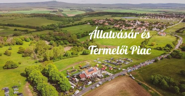 Állatvásár Nagyvázsony 2026