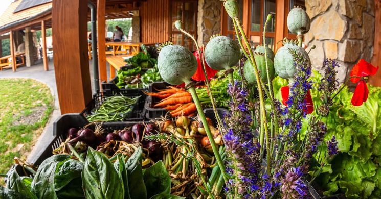 Piac Kóspallag 2026 - Pallagi Portékák Piaca