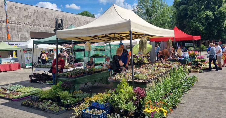 Florens Expo 2026 Miskolc - Otthon, kert, szabadidő nagy régiós kiállítás és vásár