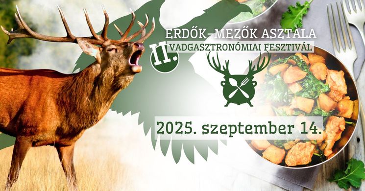 Vadgasztronómiai Fesztivál Nyíregyháza 2025. Erdők-Mezők Asztala II.