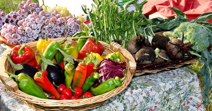 Edelényi Országos Állat- és Kirakodó Vásár 2026