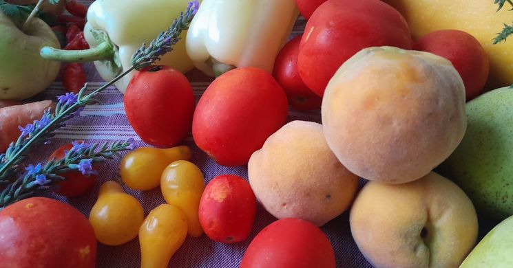 Termelői Piac Szederkény 2026