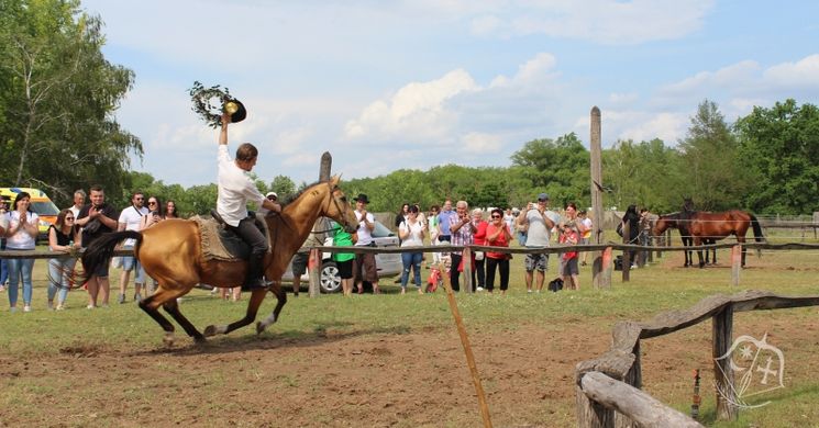 Pünkösdölő Ópusztaszer 2026 - Néphagyományok és családi élmények az Emlékparkban