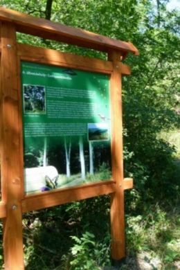 Boroszlán tanösvény Bakonybél, ökotúra a Bakonyban