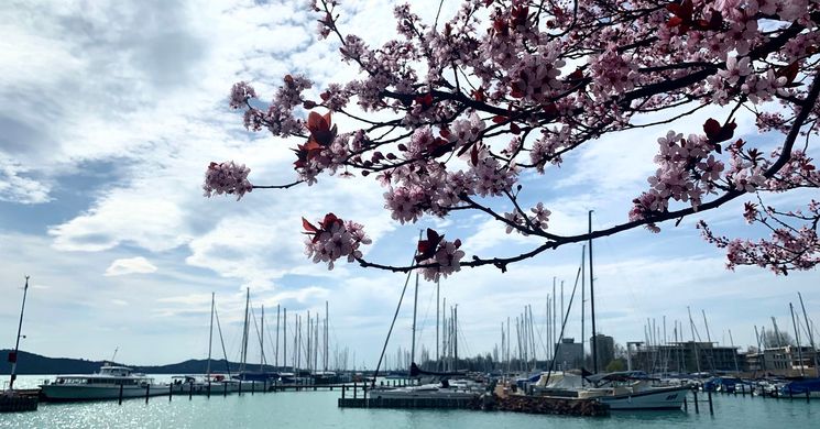 Balatonfüredi tavaszi programok 2026