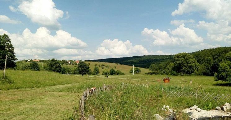 Gyűrűfűi ökofalu séta, fedezze fel a természet szépségeit és a település értékeit!