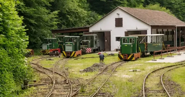 Börzsöny kisvasút kirándulások