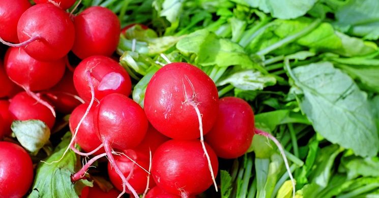 Városi piac Ráckeve 2026 - Csónakos piac