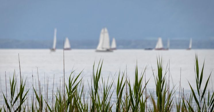 BAHART Regatta vitorlásverseny sorozat 2026