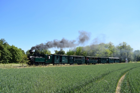 Nagycenki Széchenyi Múzeumvasút programok 2026