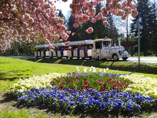 Zalakarosi kisvonatozás városnéző élményprogram DOTTO kisvonattal