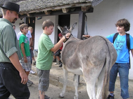 Családi program hétvégék 2026 Szentendre - Élményekkel várjuk a gyermekeket és szüleiket a Skanzenben