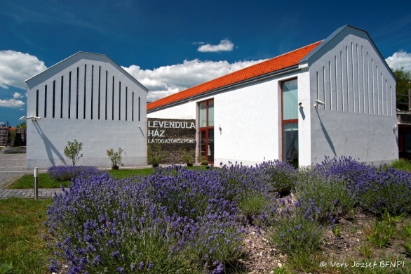 Levendula Ház programok 2026 Tihany