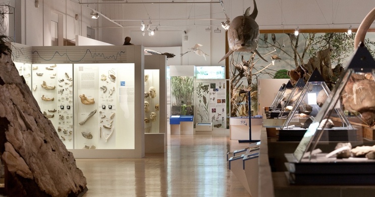 Ingyenes múzeumlátogatás Budapest 2026.  Magyar Természettudományi Múzeum