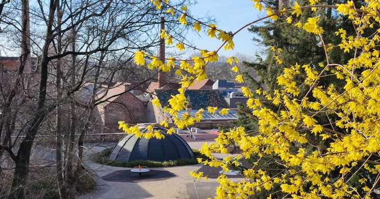 Városi Gyereknap Pécs 2026