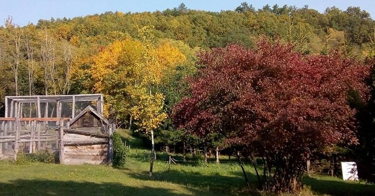 Diósjenői Szabadidőpark programok 2026