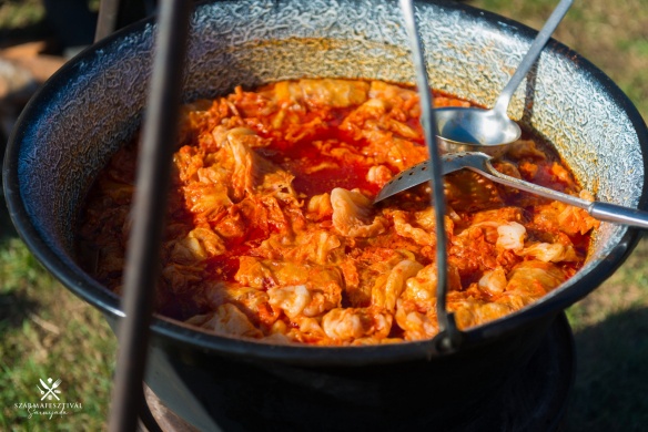 Szármafesztivál Topolya 2026