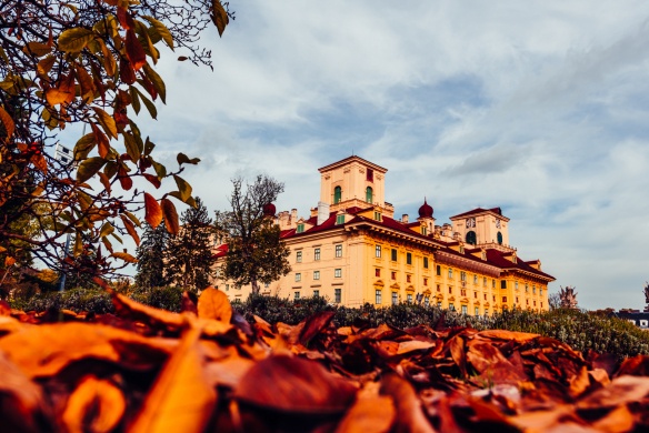 HERBSTGOLD Fesztivál 2025 Kismarton