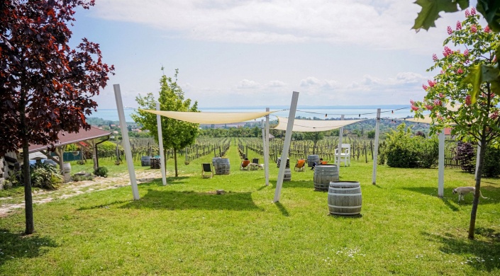 Homola Borterasz programok Paloznak 2026