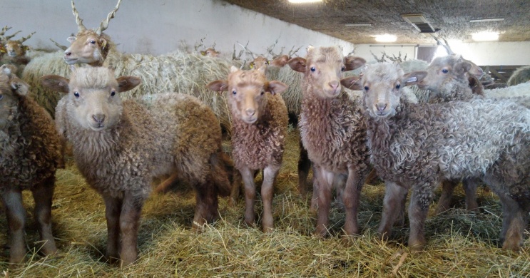 Húsvét a Hortobágyon 2026