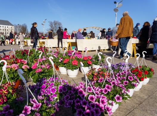 Dunakapu téri piac Győr 2026