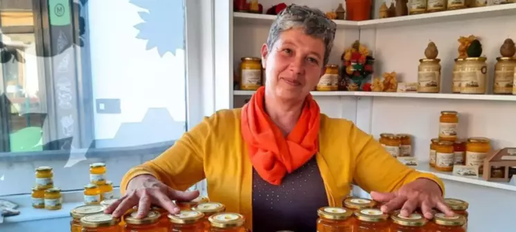 Gyulai Méz 2026 - Termelői mézek és mézkészítmények vásárlása a Mézes Kuckóban