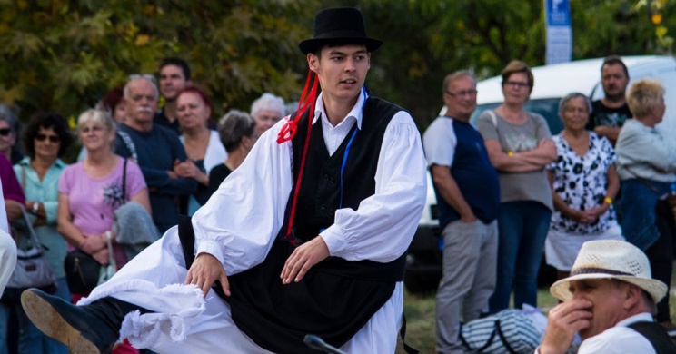 Szüret Cserkeszőlő 2026