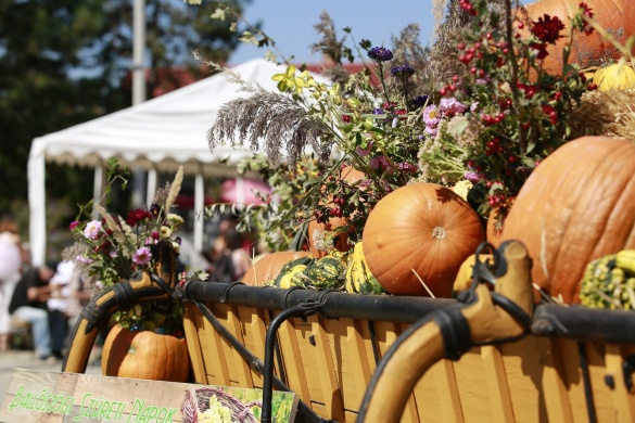 Ballószögi Szüreti Napok 2026