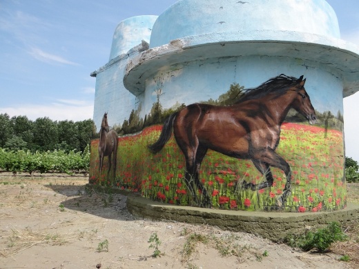 BETYÁR-OLIMPIA 2026 – élményalapú csapatépítő tréning betyárjátékokkal Kiskunmajsán