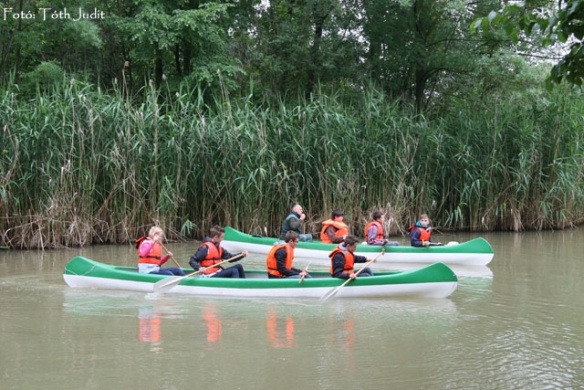 Kenutúra, kenu bérlés lehetőséggel a Körösvölgyi Állatparkban