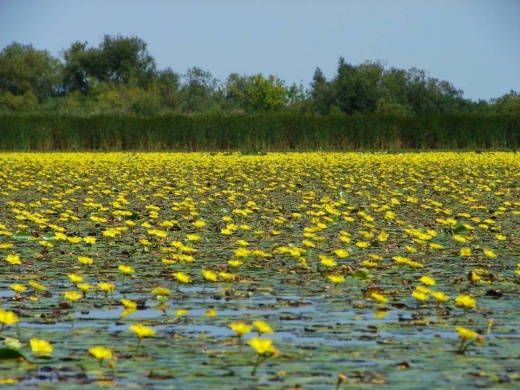 Tisza-tavi túravezető képzés 2026
