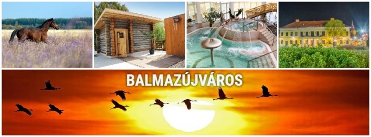 Balmazújvárosi kiállítások 