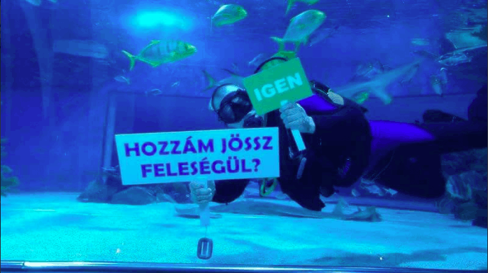 Különleges esküvő helyszín Budapest 2026 - mondd ki a boldogító igent a Tropicarium tengeri akváriumában!