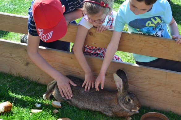 Húsvéthétfő a Vasi Skanzenben 2026
