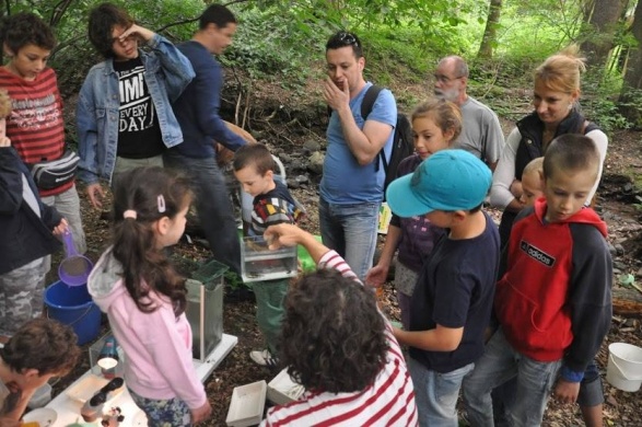 Családi nap Királyréten 2026 - Tematikus programok a Duna-Ipoly Nemzeti Park szervezésében