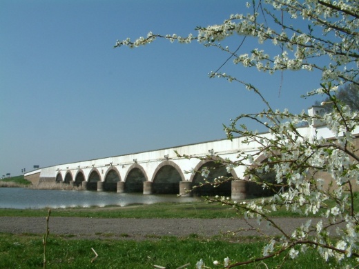 Hortobágyi Gyereknap 2026 - Várjuk a Hortobágyi Nemzeti Parkban